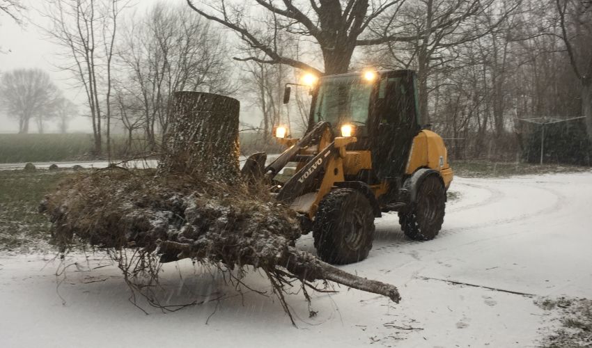 Volvo L25B