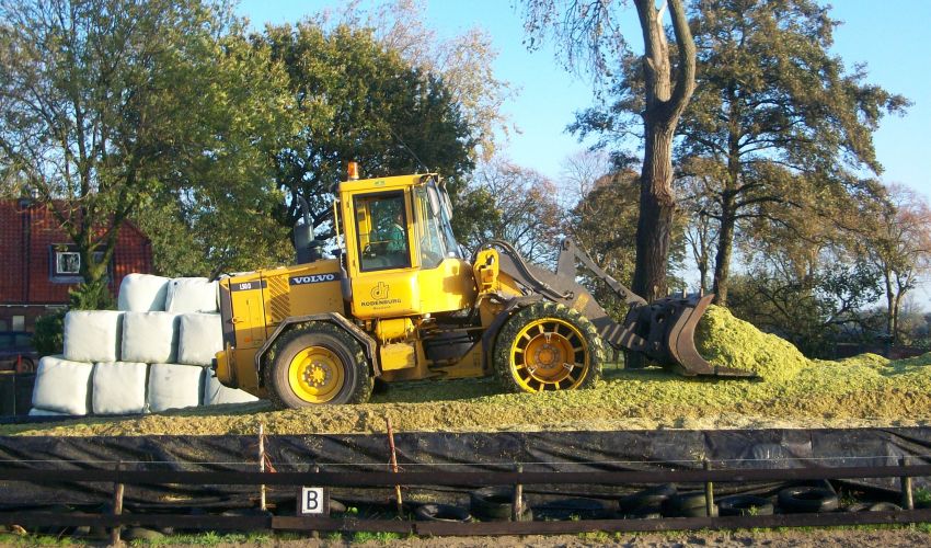 Volvo L50D
