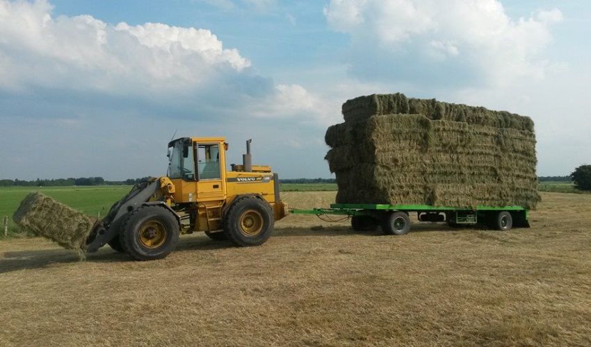 Volvo L50C