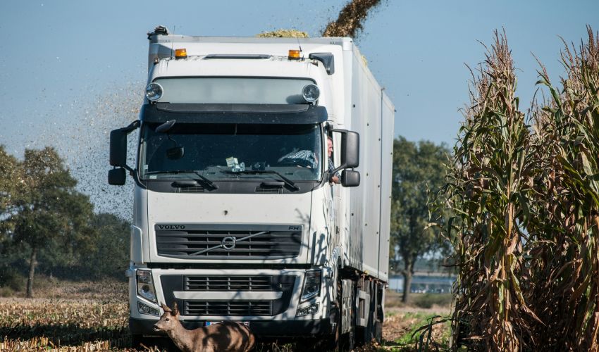 Volvo FH