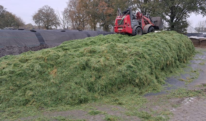 Weidemann 1160
