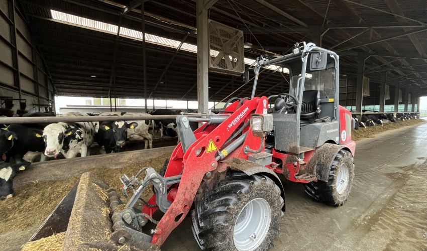 Weidemann onbekend