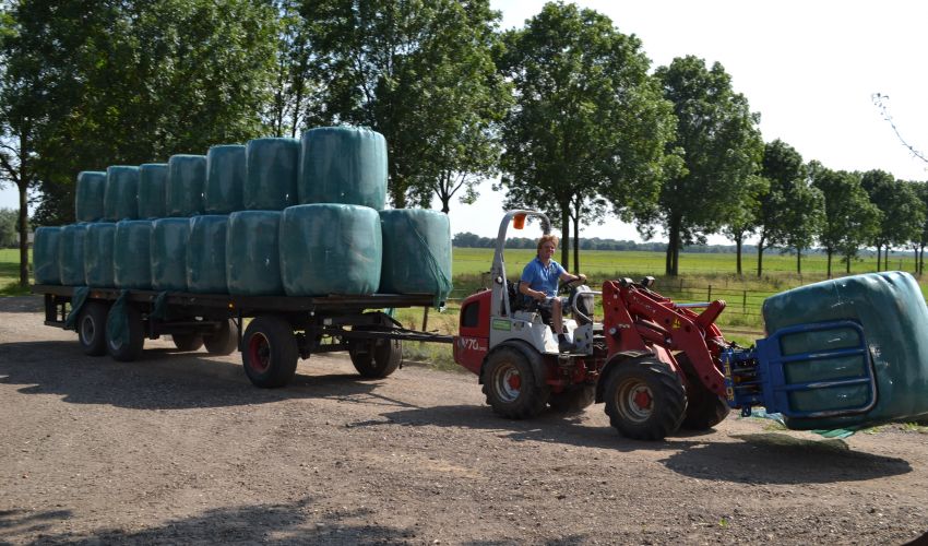 Weidemann 1770
