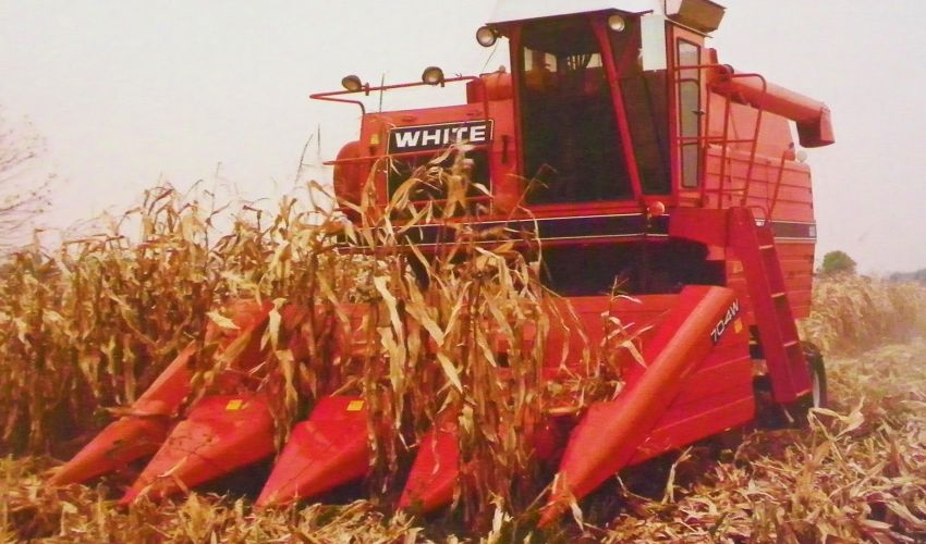 White Harvest Boss 8600