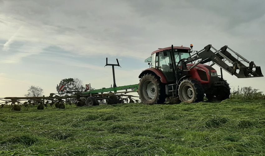 Zetor Forterra 95