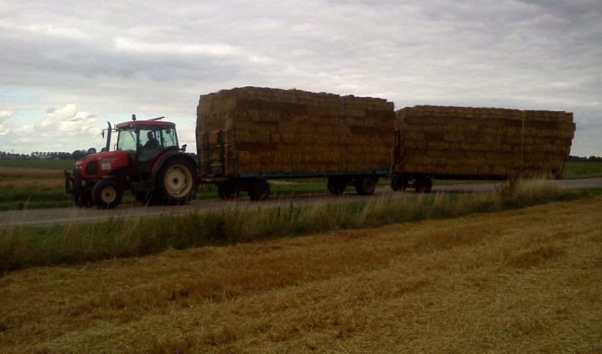 Zetor Proxima 8541