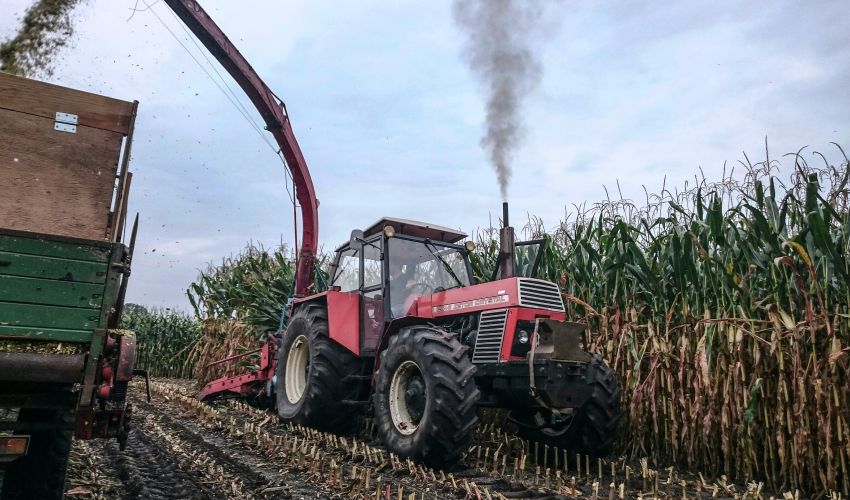 Zetor crystal 12045