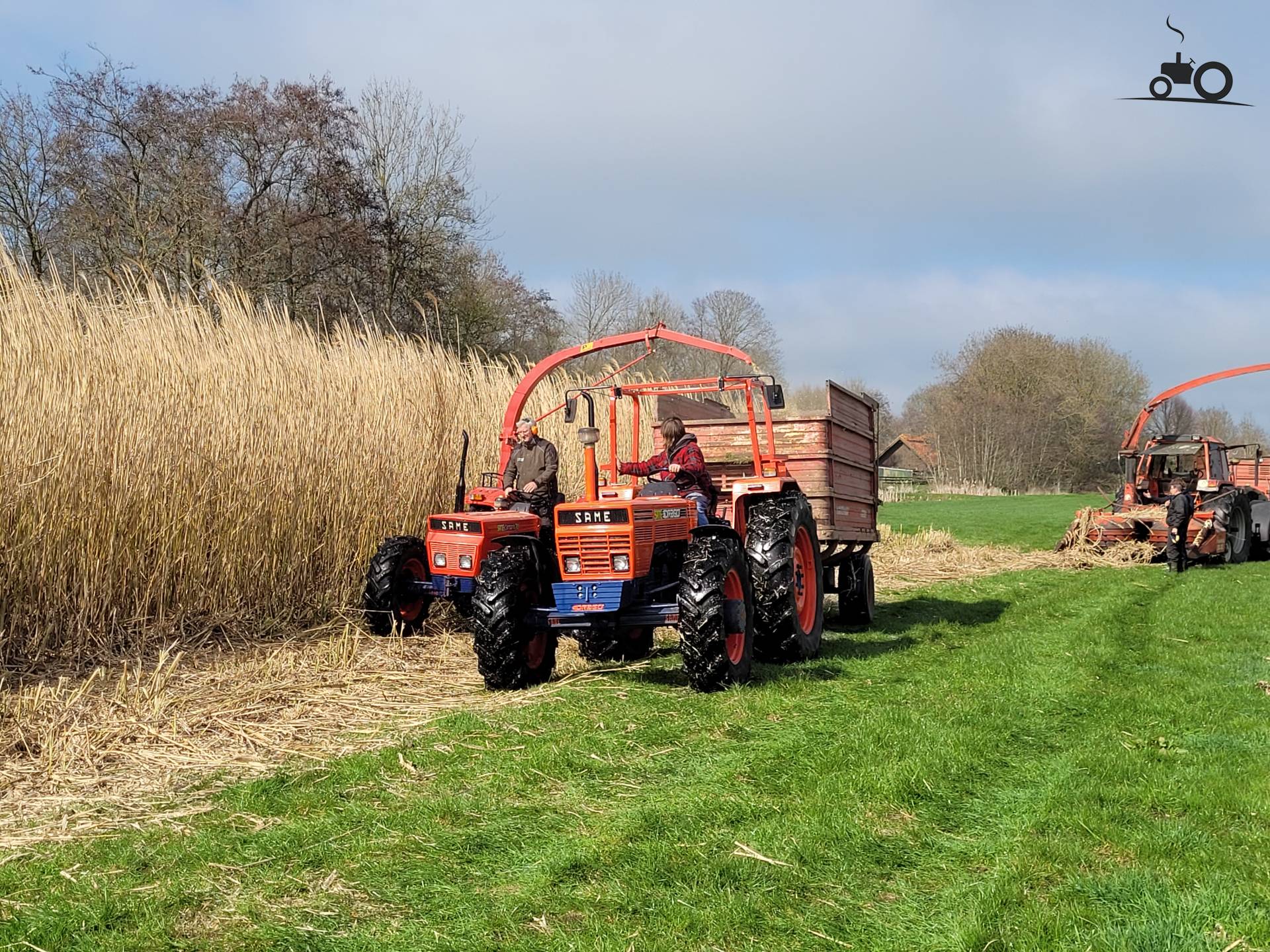 Miscanthus hakselen met Same Corsaro 70 en PZ MH 80 S