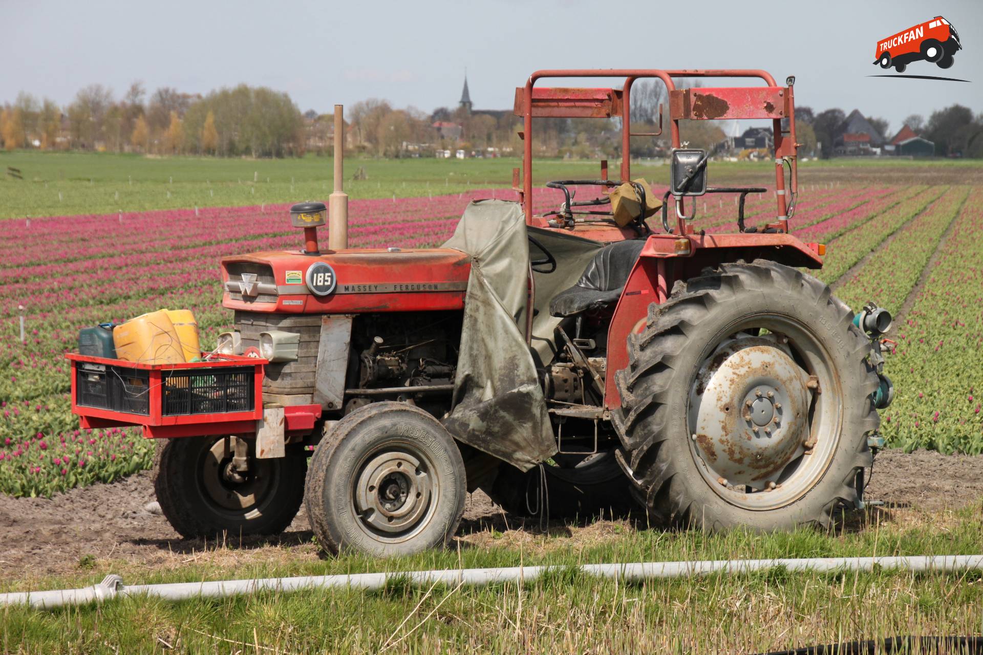 Massey Ferguson 185 Fan Club - Specs, Photos, Reviews & Forum