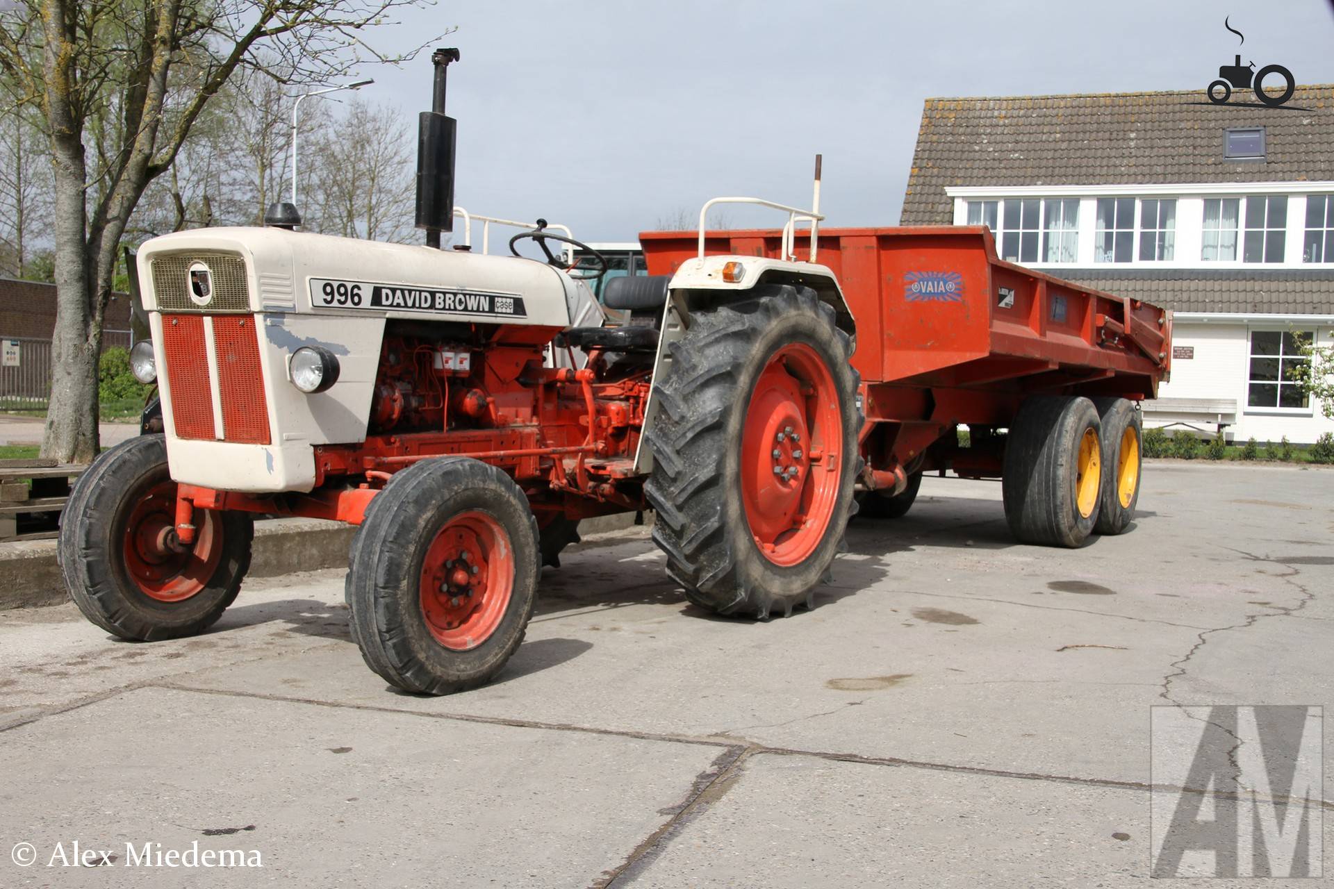 David Brown 996 met Vaia kipper van Joostema