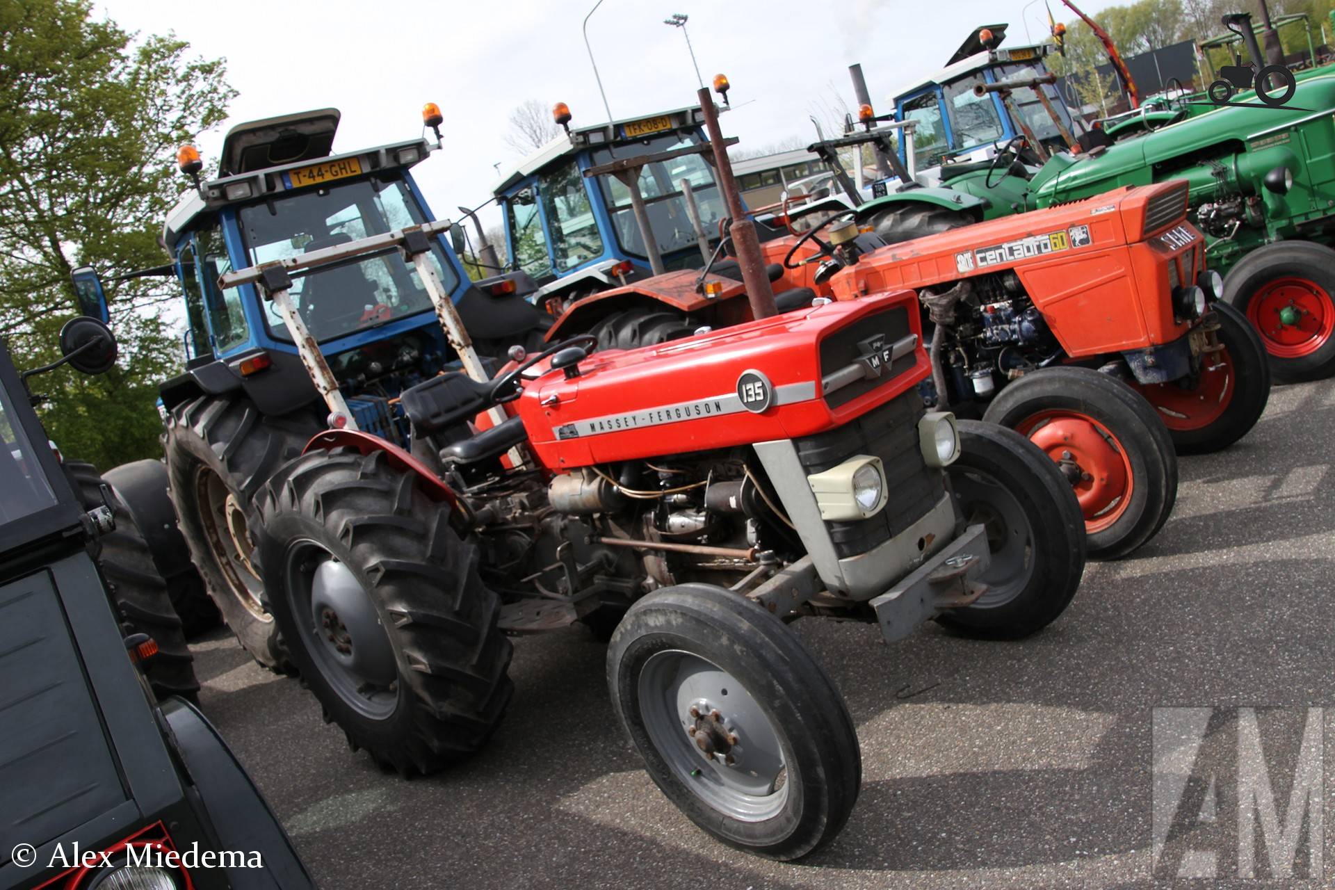 Massey Ferguson 135 op Koningsdag 2026