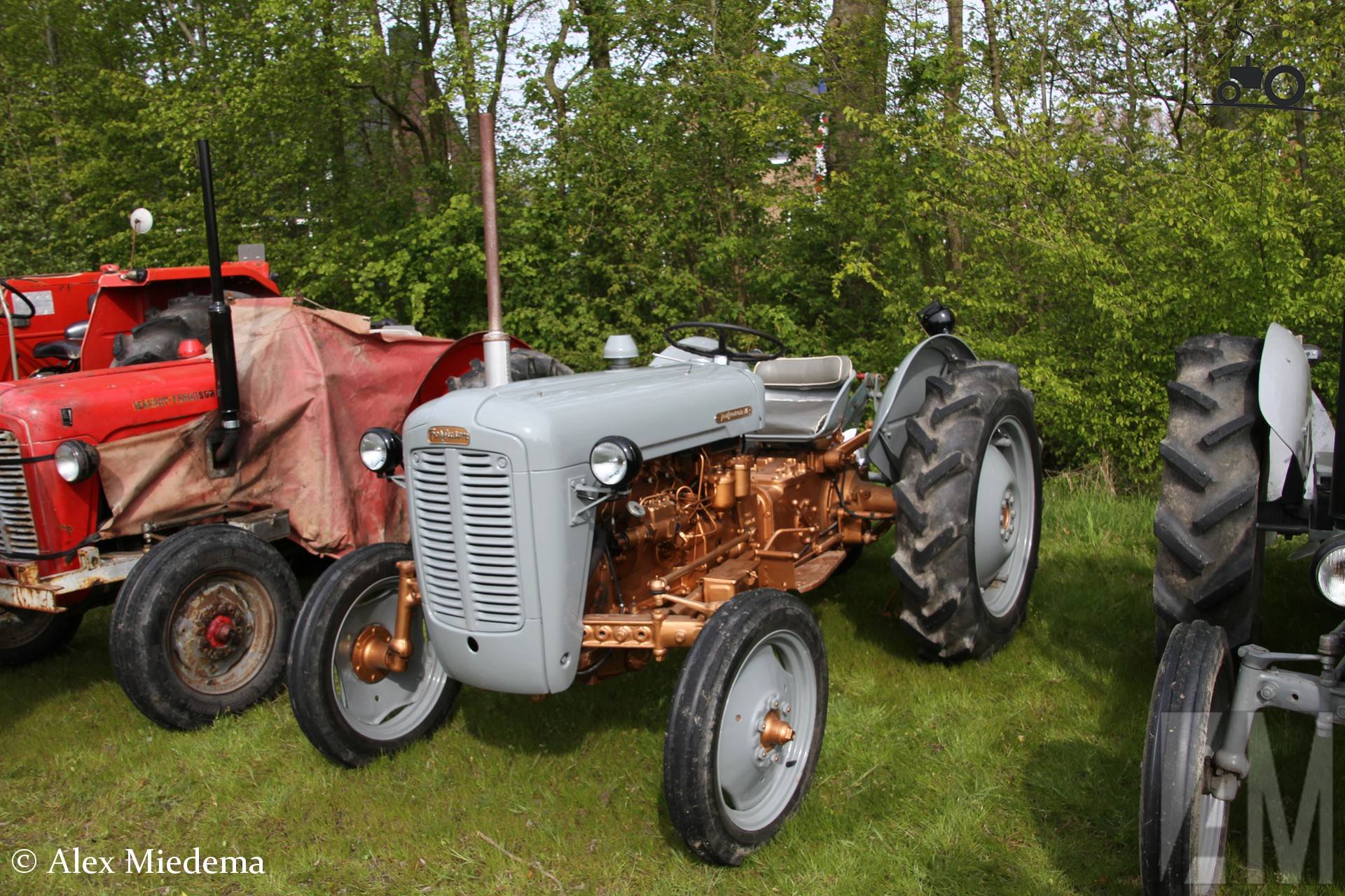 Ferguson Tractor op Oldtimerdei Minnertsga