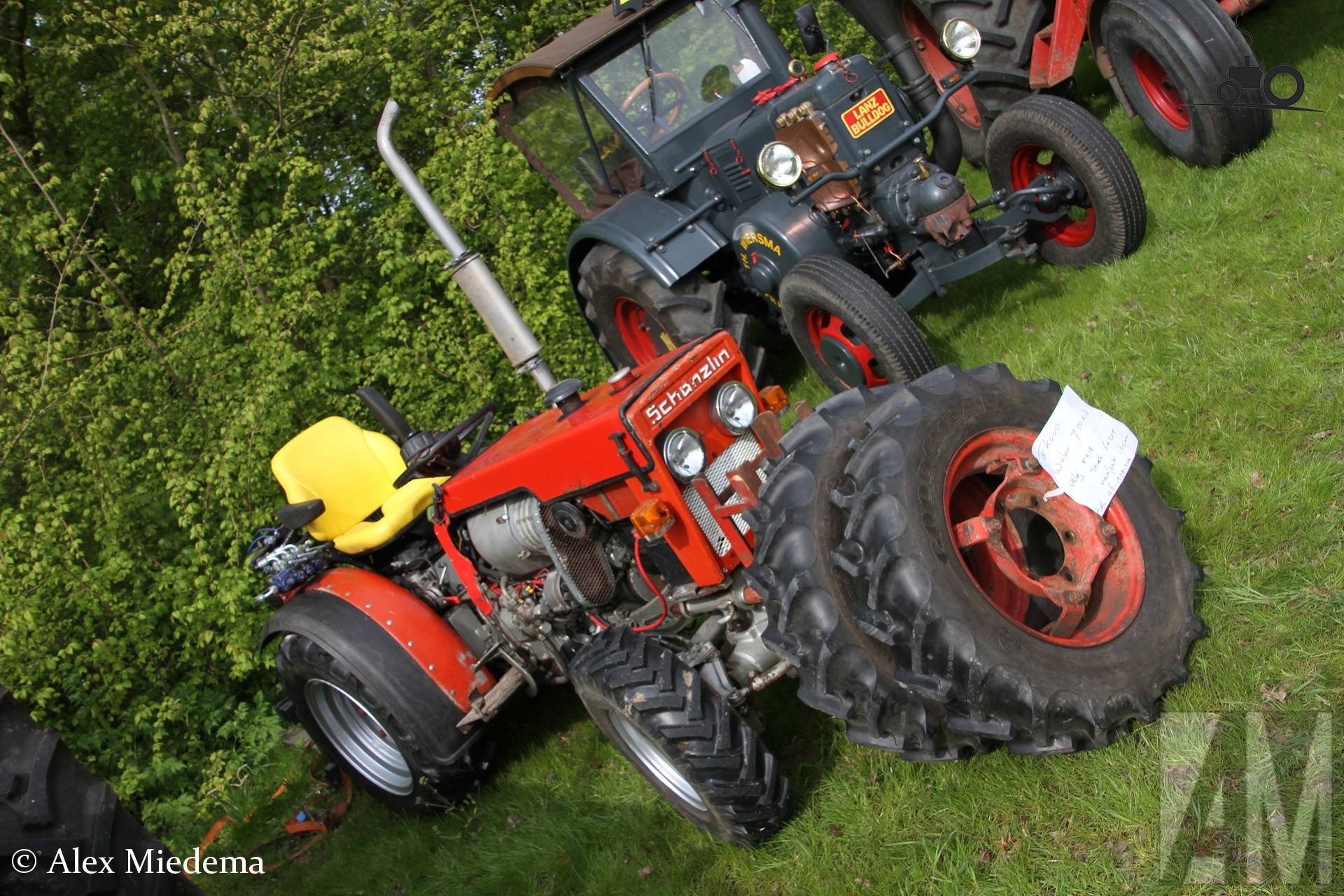 Schanzlin Tractor op Oldtimerdei Minnertsga
