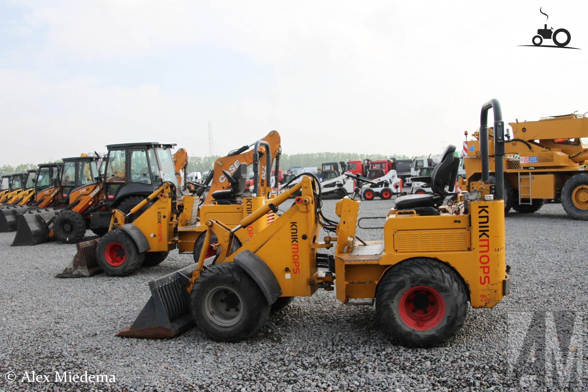 Knikmops 250 uit 2013 in Moerdijk