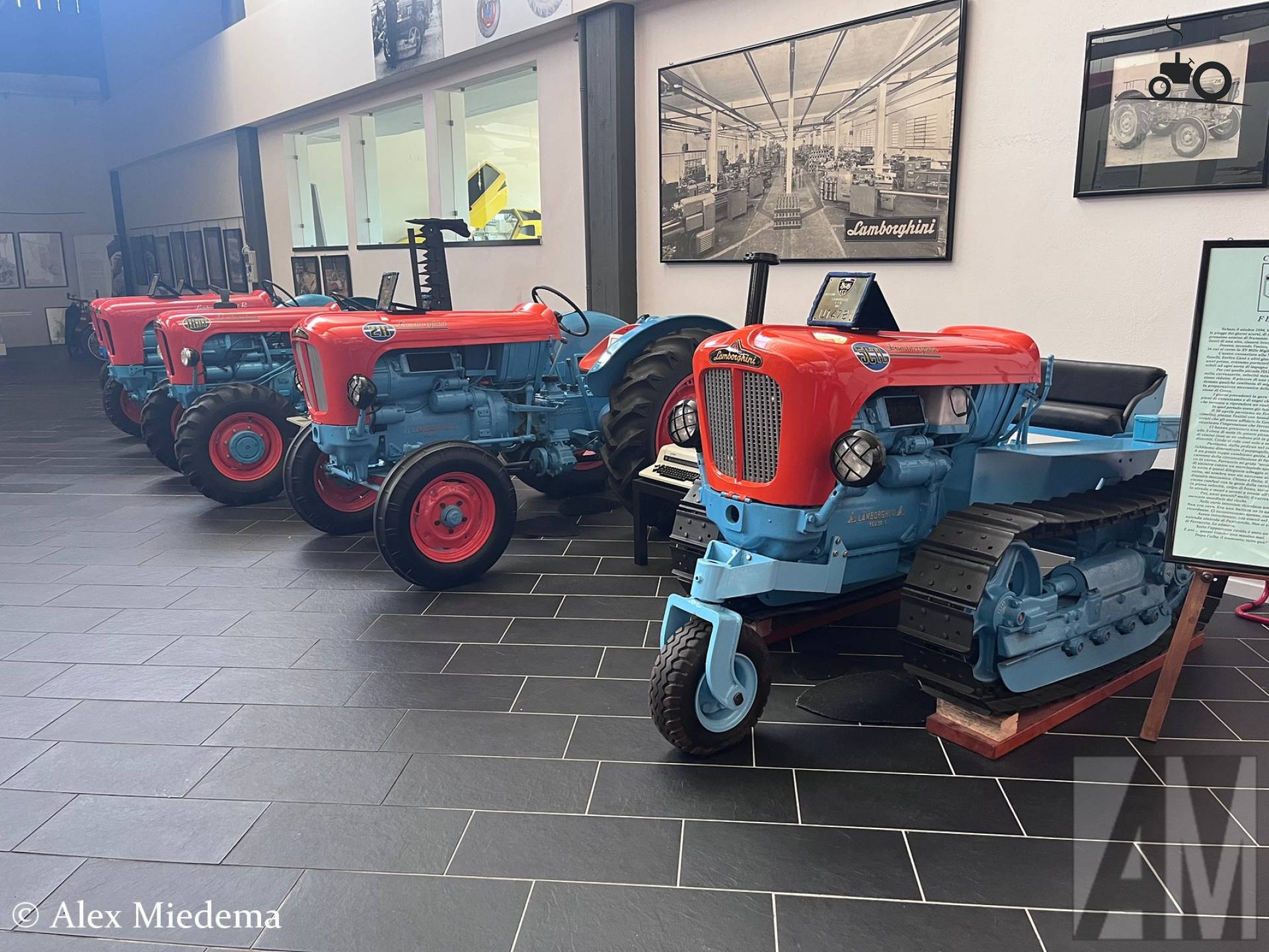 Rijtje Lamborghini tractoren in Museo Ferruccio Lamborghini, vooraan een 5 CTL