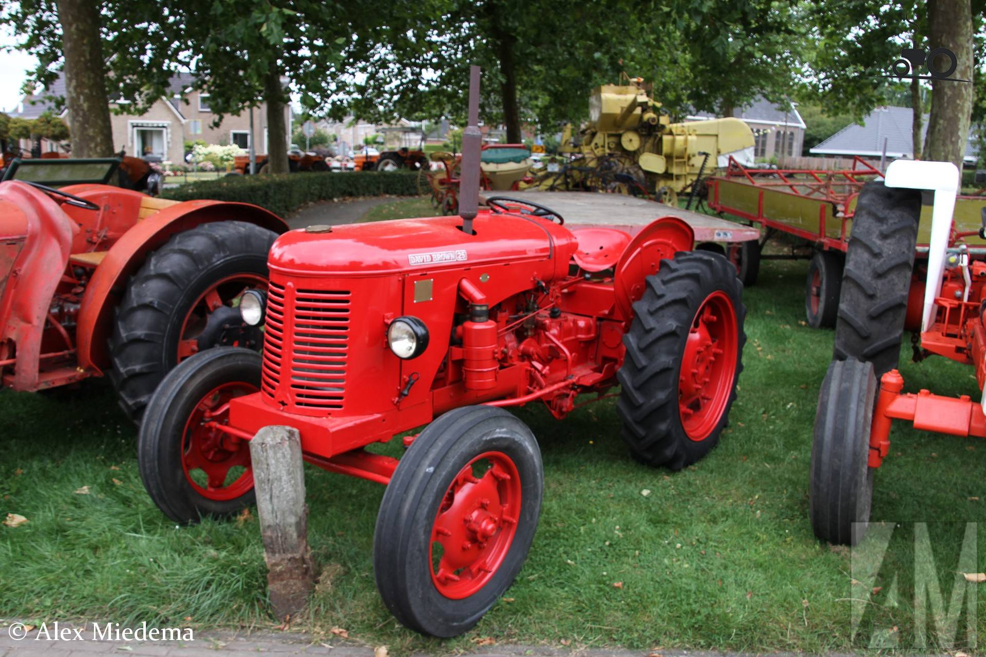David Brown 25 tractor at NostalgIE event