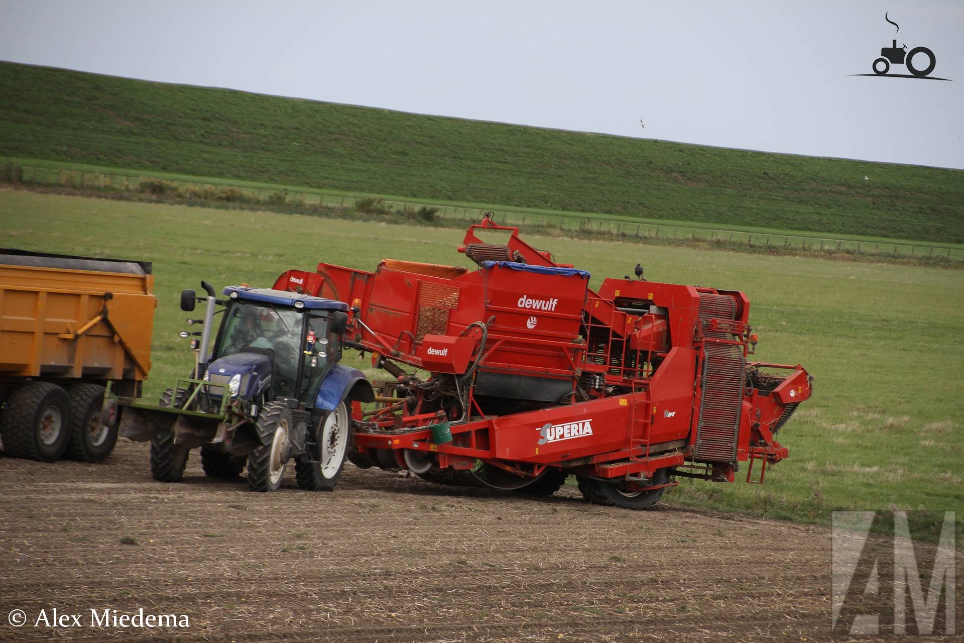 Dewulf Superia machine op Armendijk Westhoek