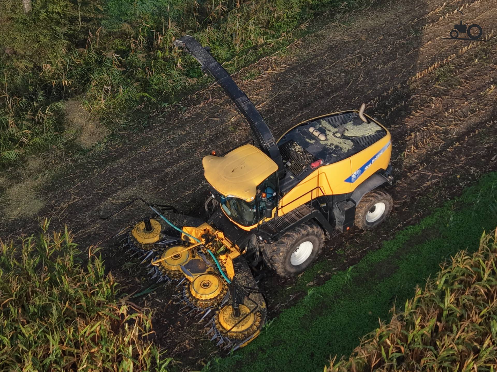 New Holland FR9060 maïsoogstmachine in actie
