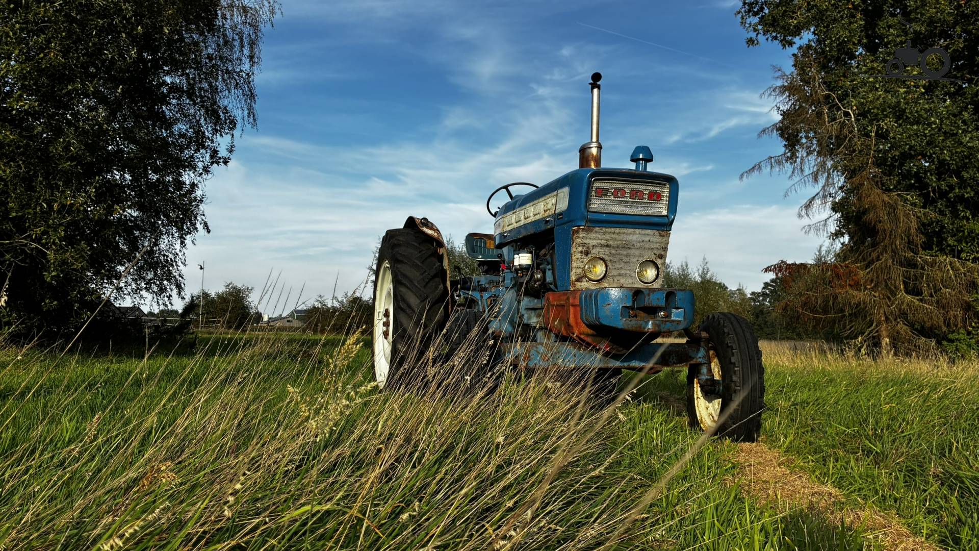 Ford 5000 landbouwmachine in weide