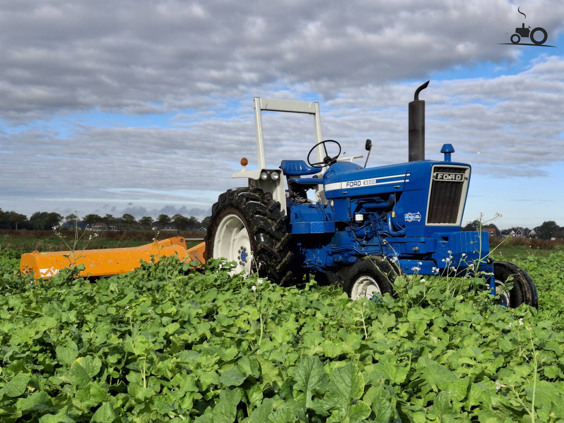 Ford 6600 row crop trekker met klepelen