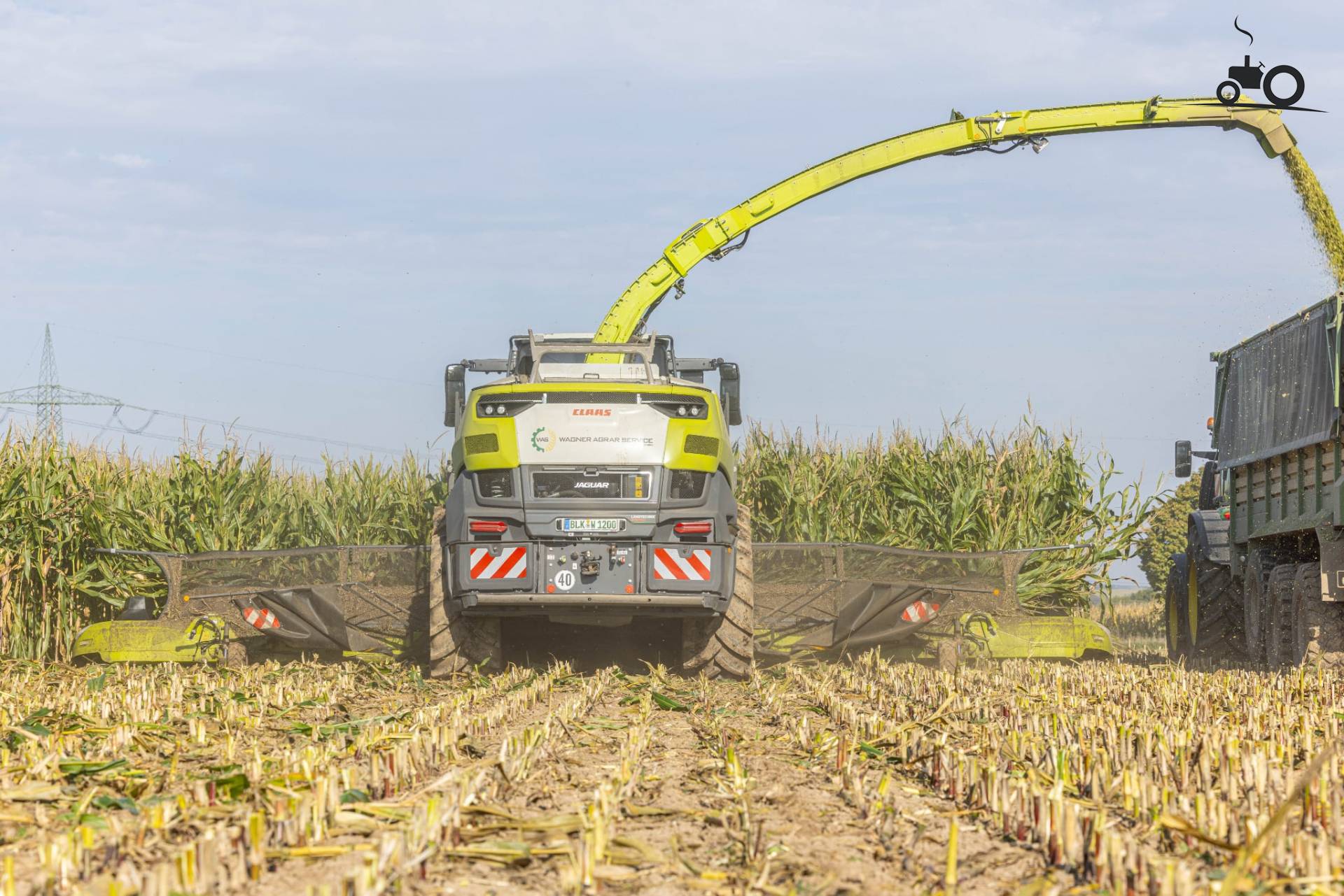 Claas Jaguar 1200 maaidorser in maïsveld