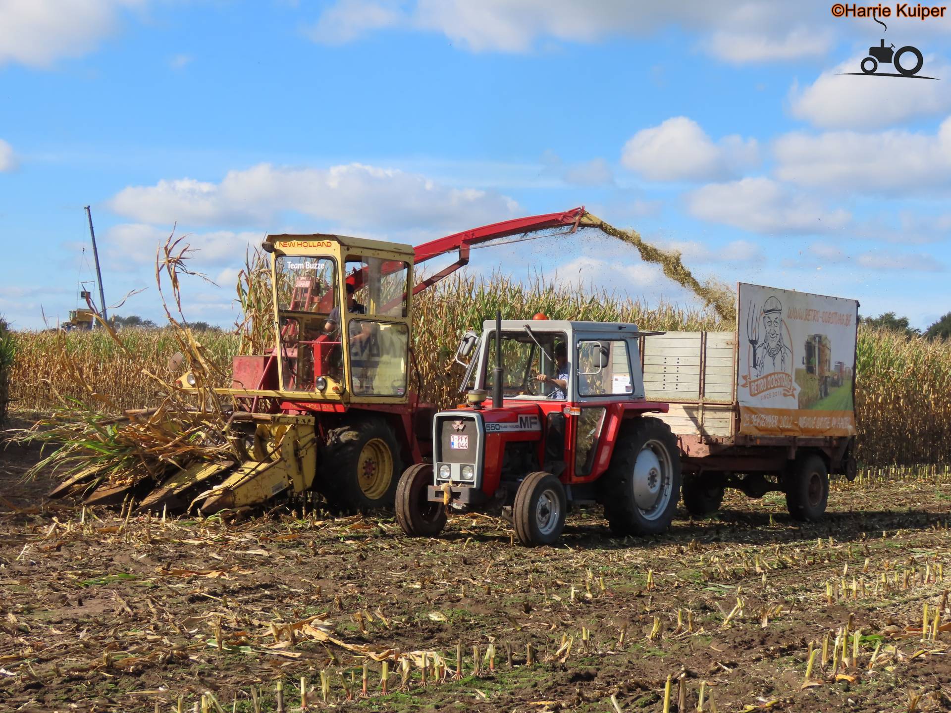 Massey Ferguson 550 op Oldtimer maishakselen Dalen