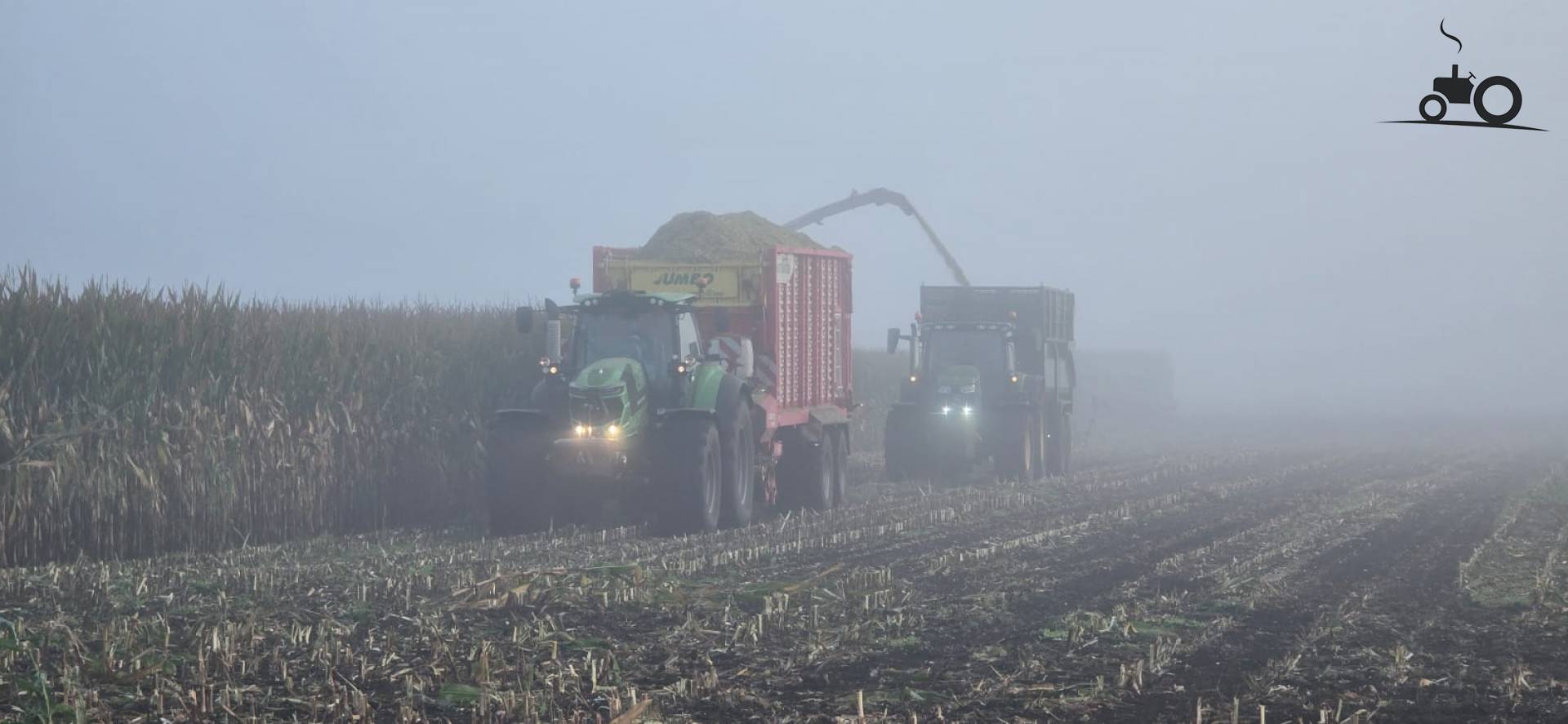 Maisveld in de ochtendmist
