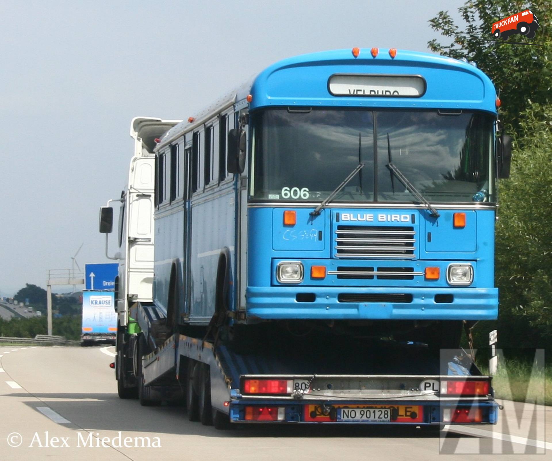 Blue Bird bus Fanclub - Specificaties, Foto's, Reviews & Forum