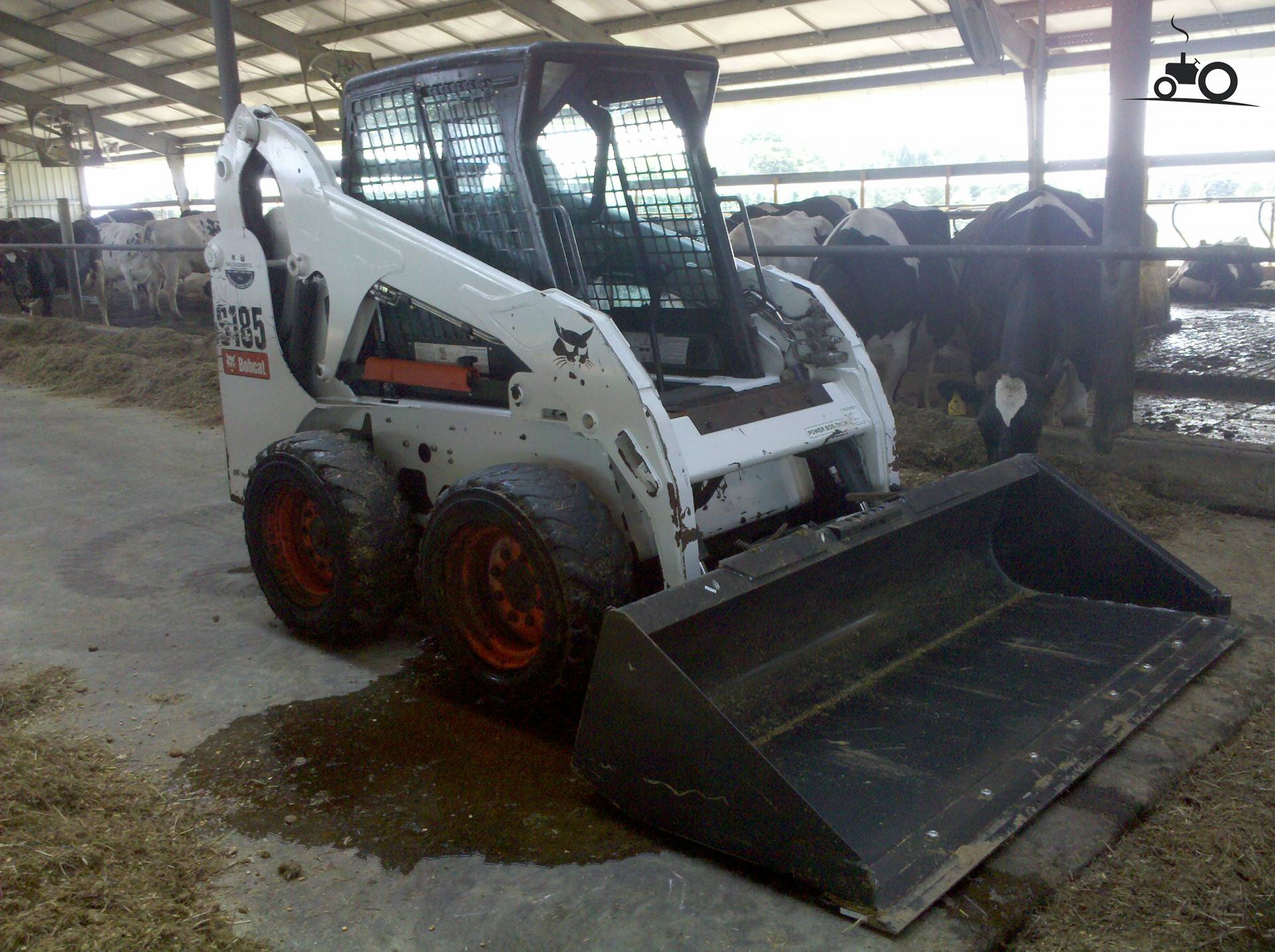 Bobcat S 185 - Laatste Updates, Foto's & Video's