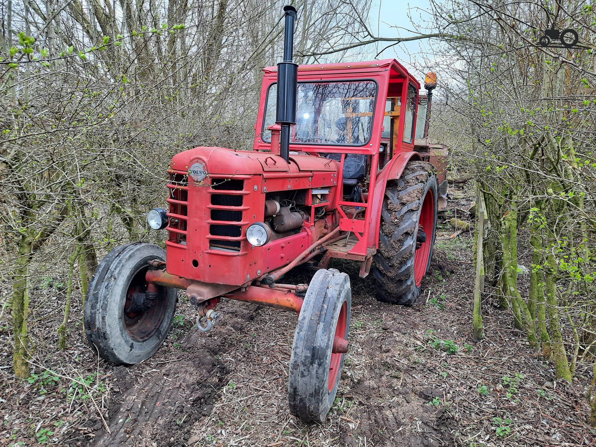 Bolinder Munktell 350 - France - Tracteur image #1409268