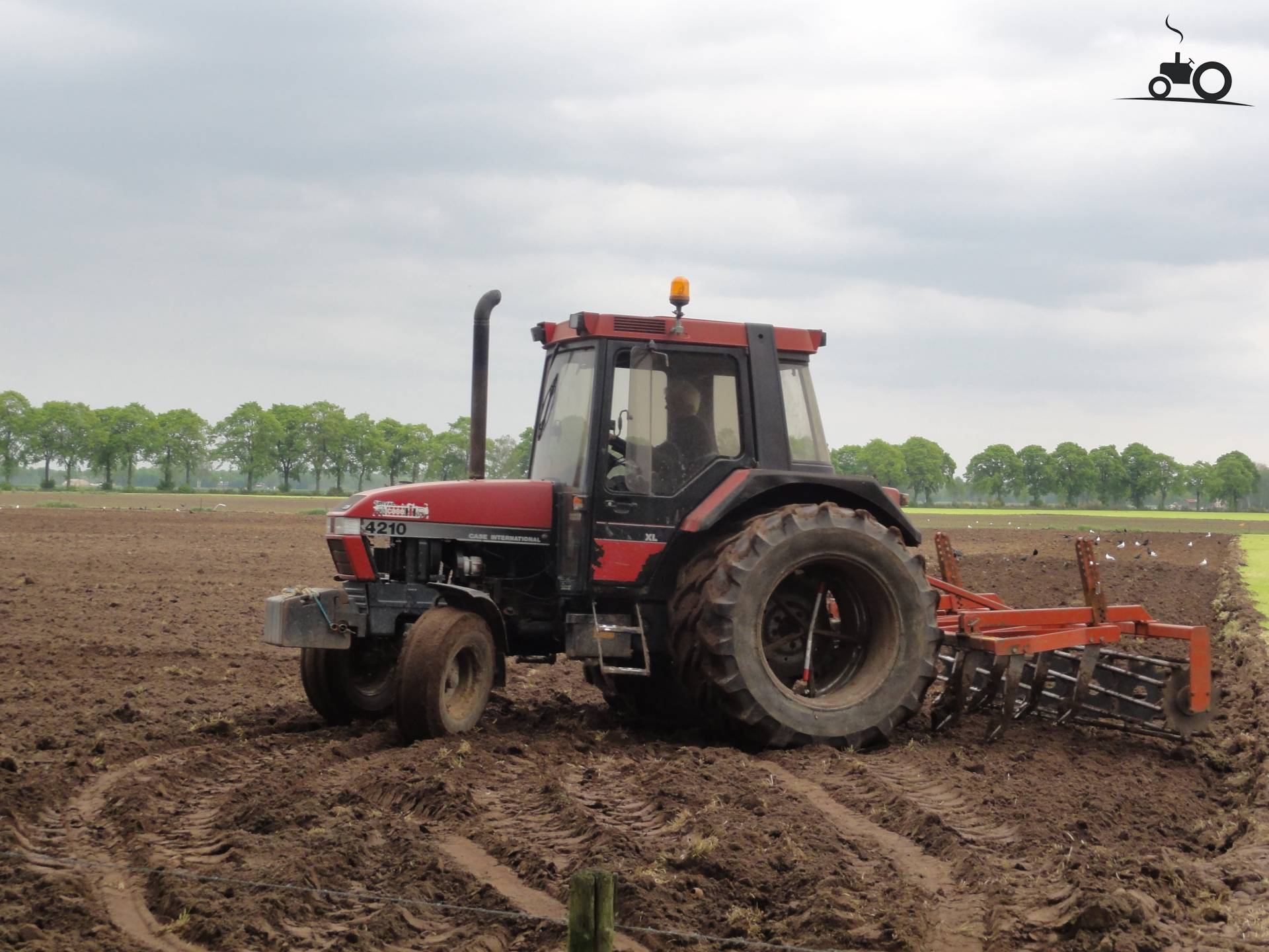 Case International 4210 XL - Laatste Updates, Foto's & Video's - Pagina 1