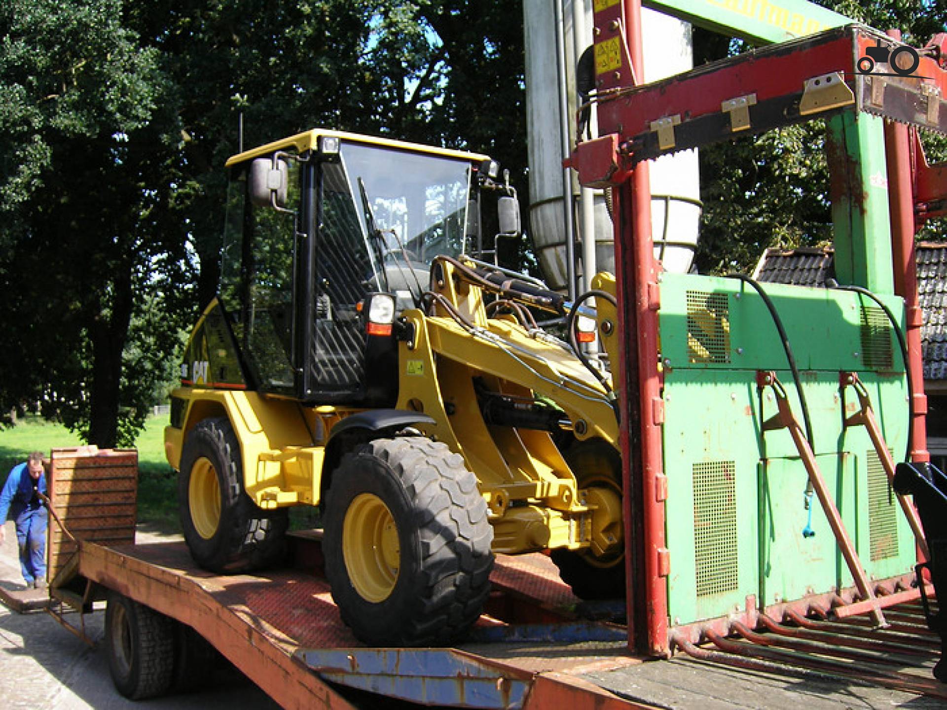 Foto Cat 906 #482674