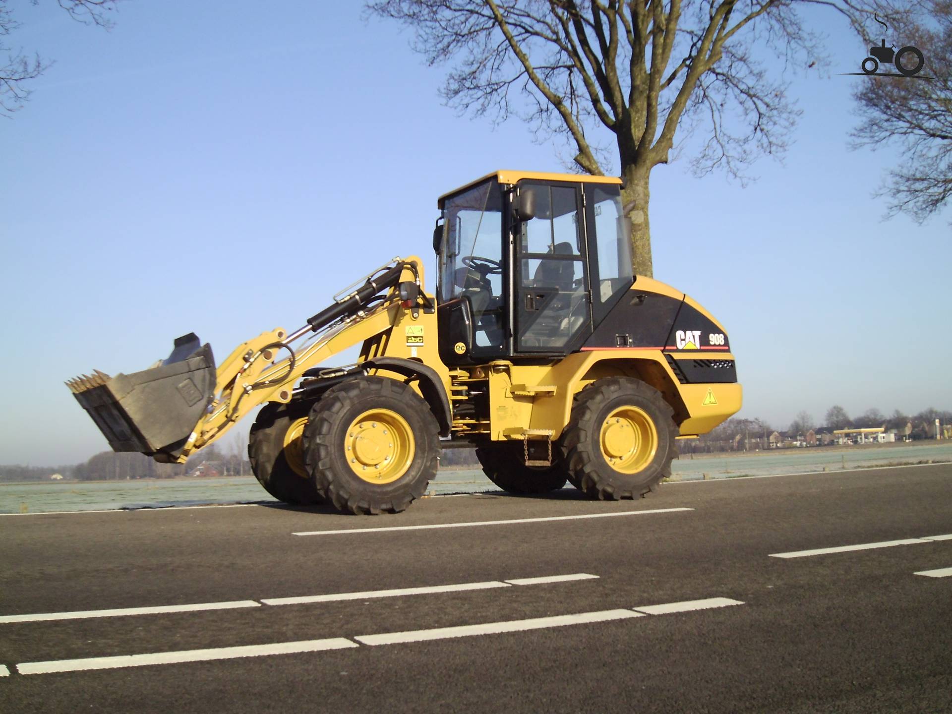 Foto Cat 908 #587652