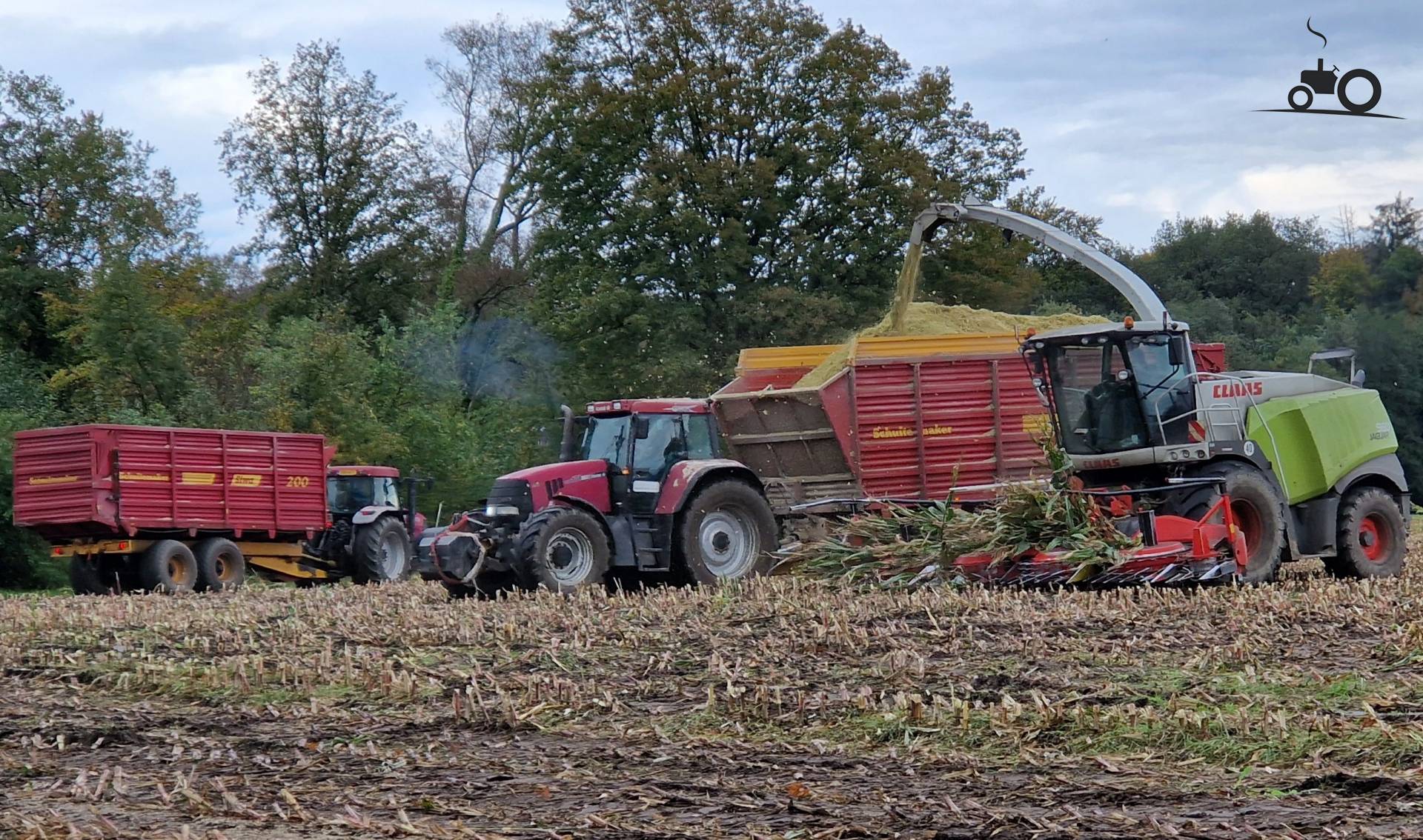 Foto Claas Jaguar 960 van Loon en Grondverzetbedrijf Mateman