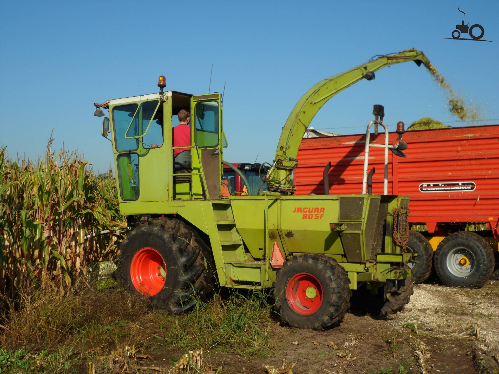 Claas Jaguar 80 SF