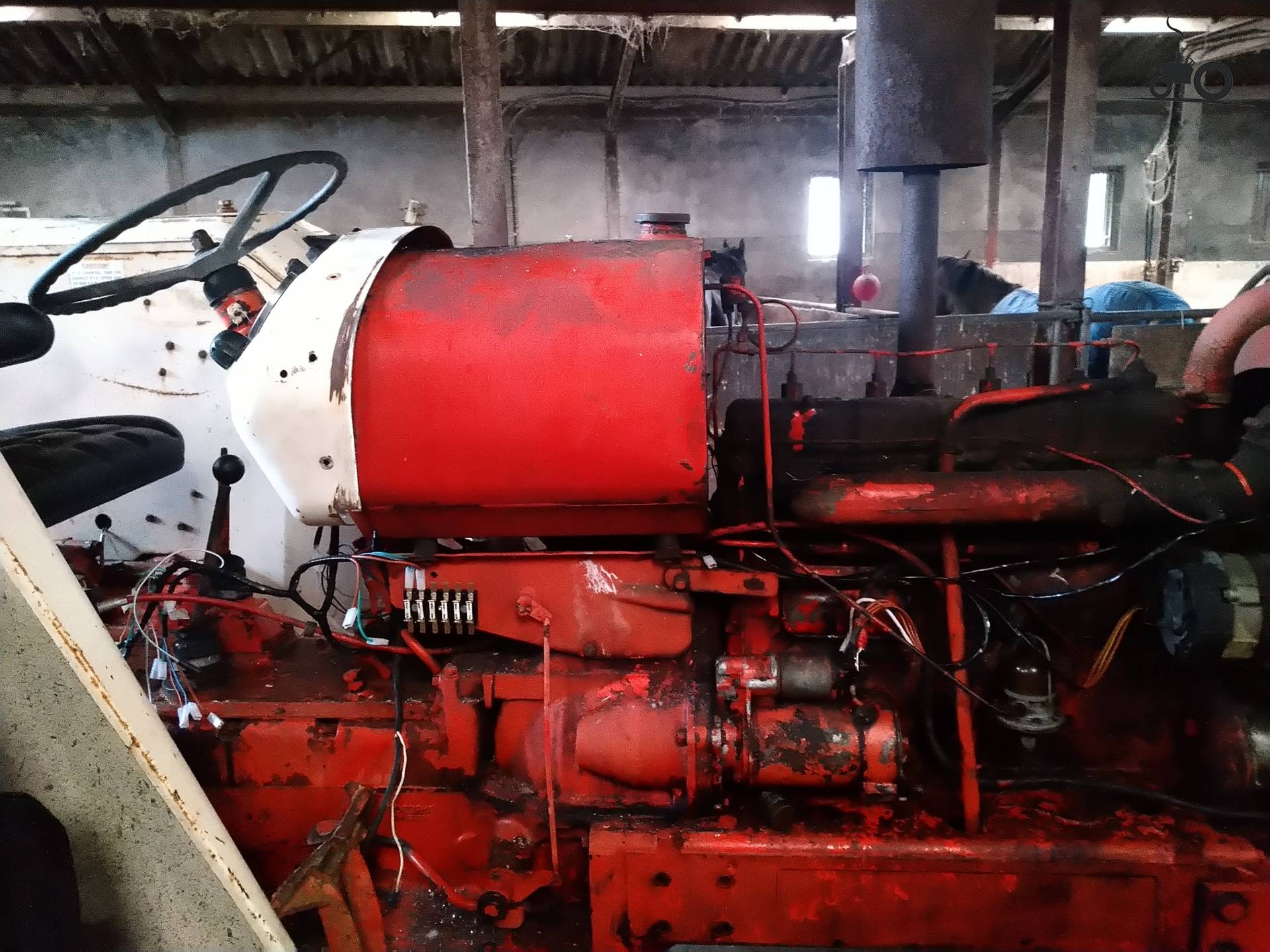 Foto David Brown 995 1550983