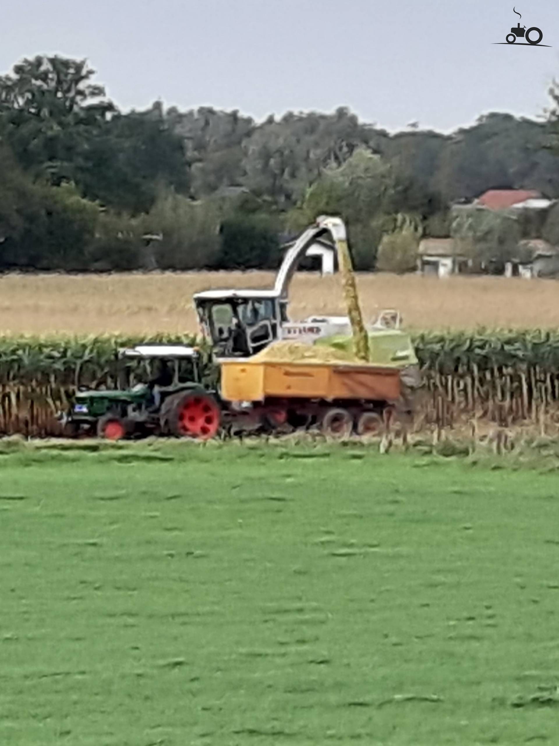 Foto Deutz D55 #1541252