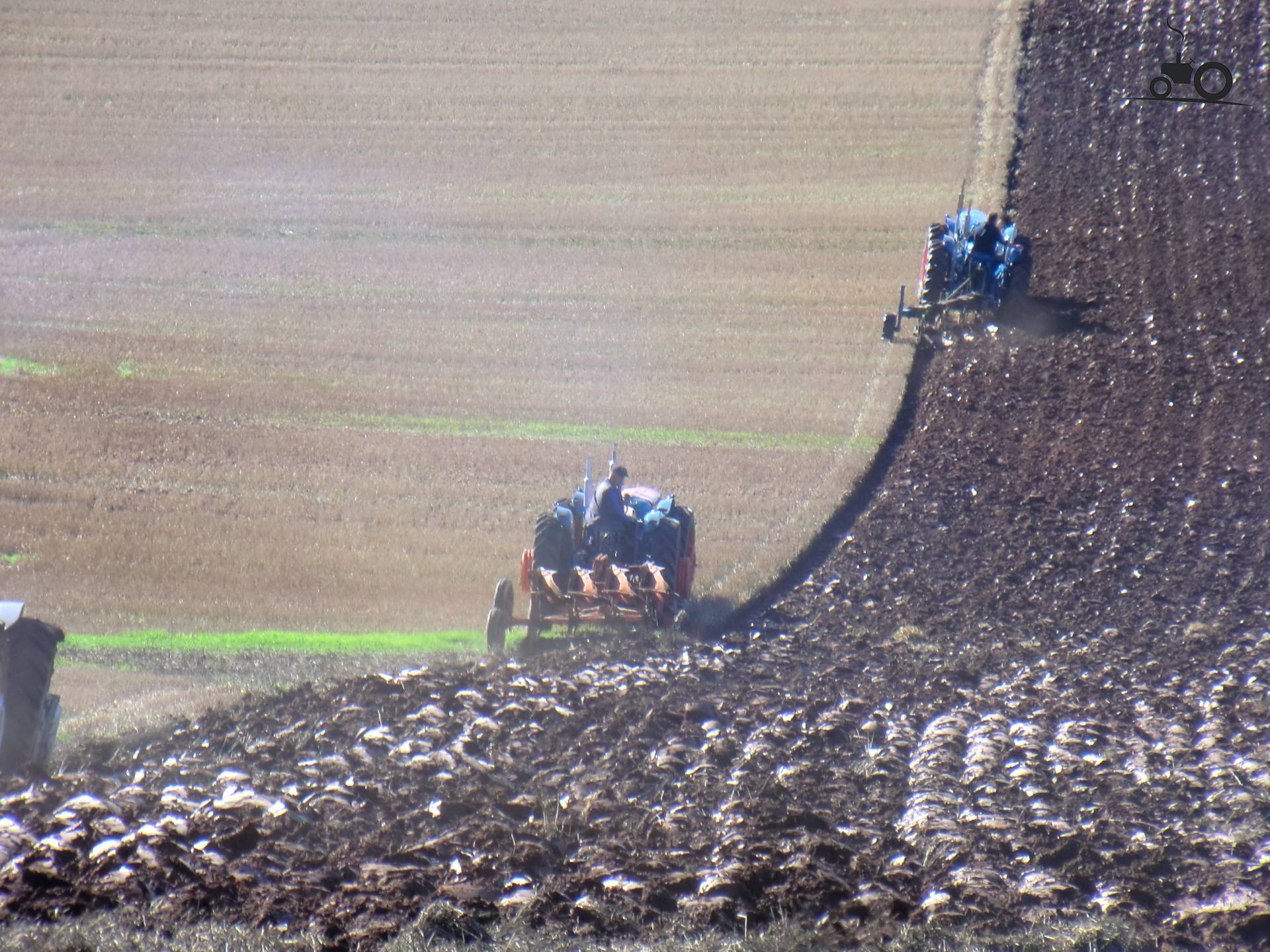 Foto Doe Triple D 938089