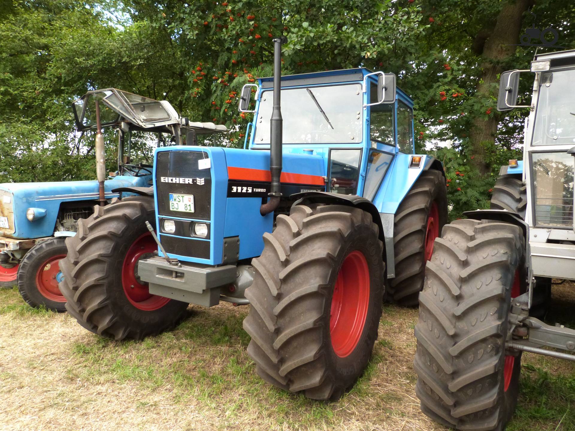 Foto Eicher 3125 783744