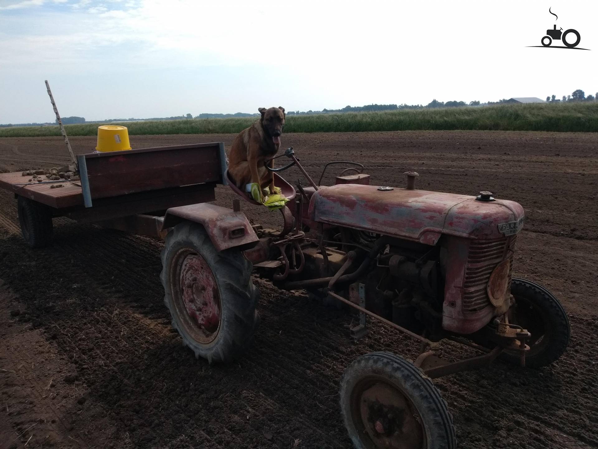Farmall DLD 2 Fan Club - Specs, Photos, Reviews & Forum