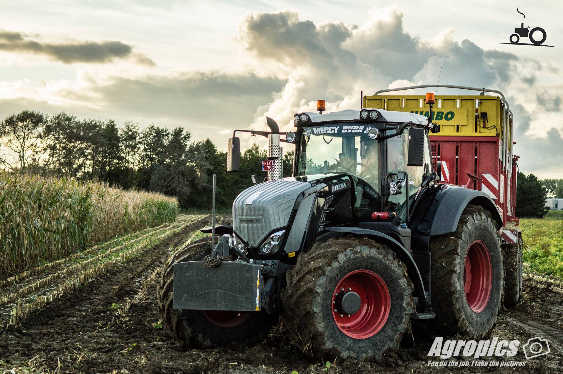 Fendt Vario Deutschland Traktor Foto