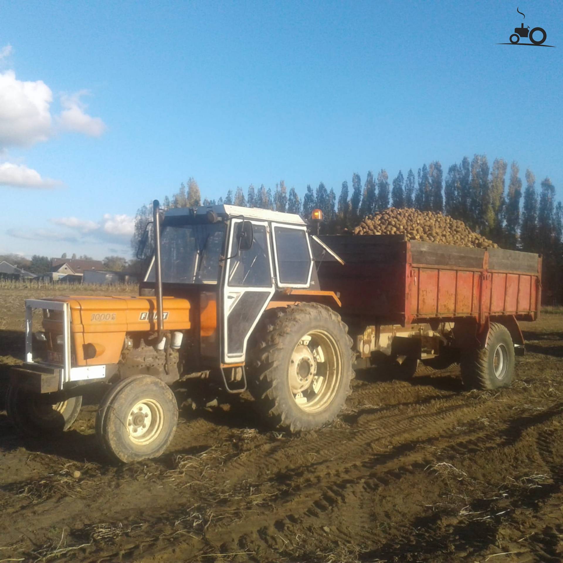 Fiat 1000 Super