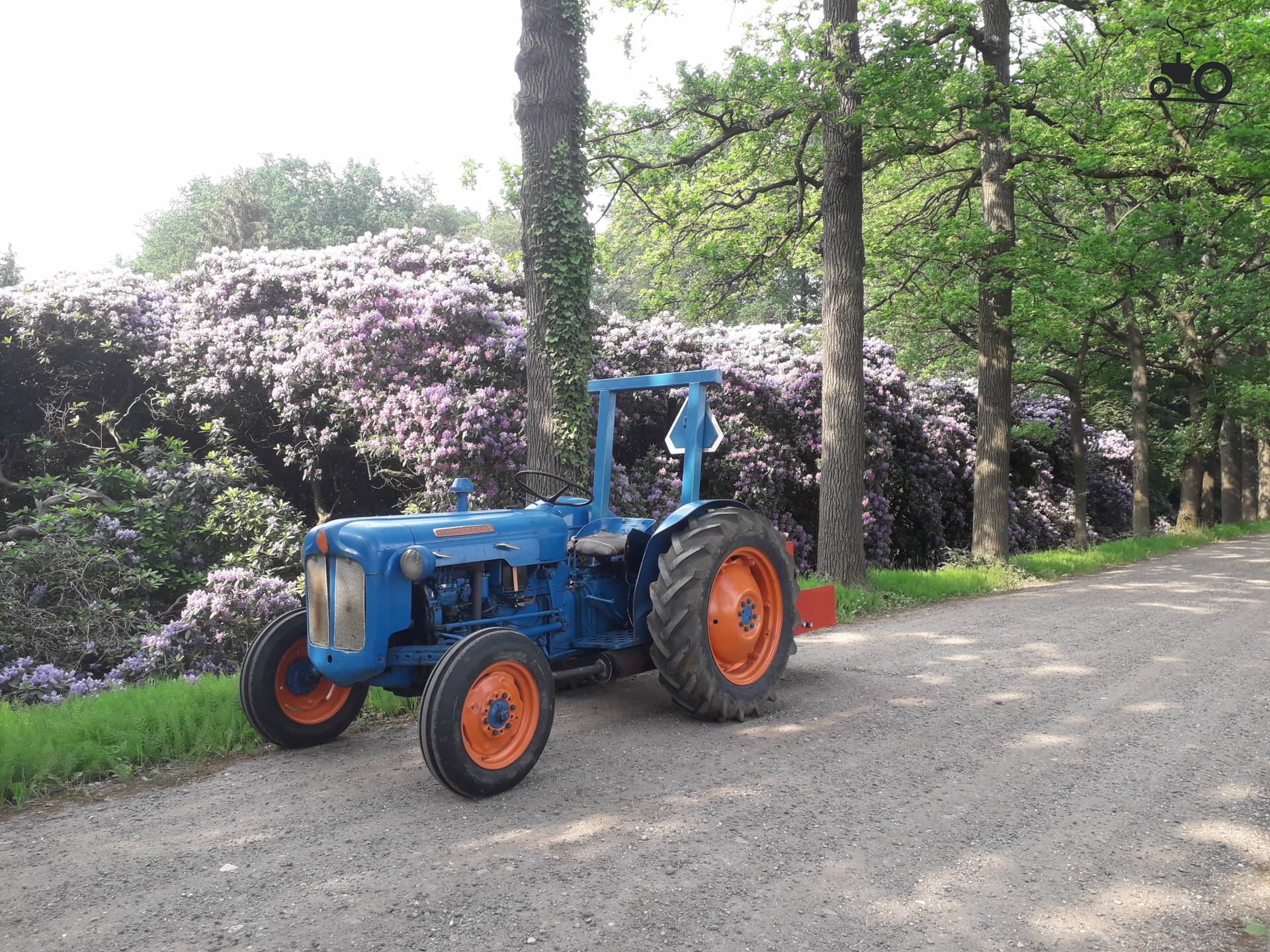 Fordson Dexta