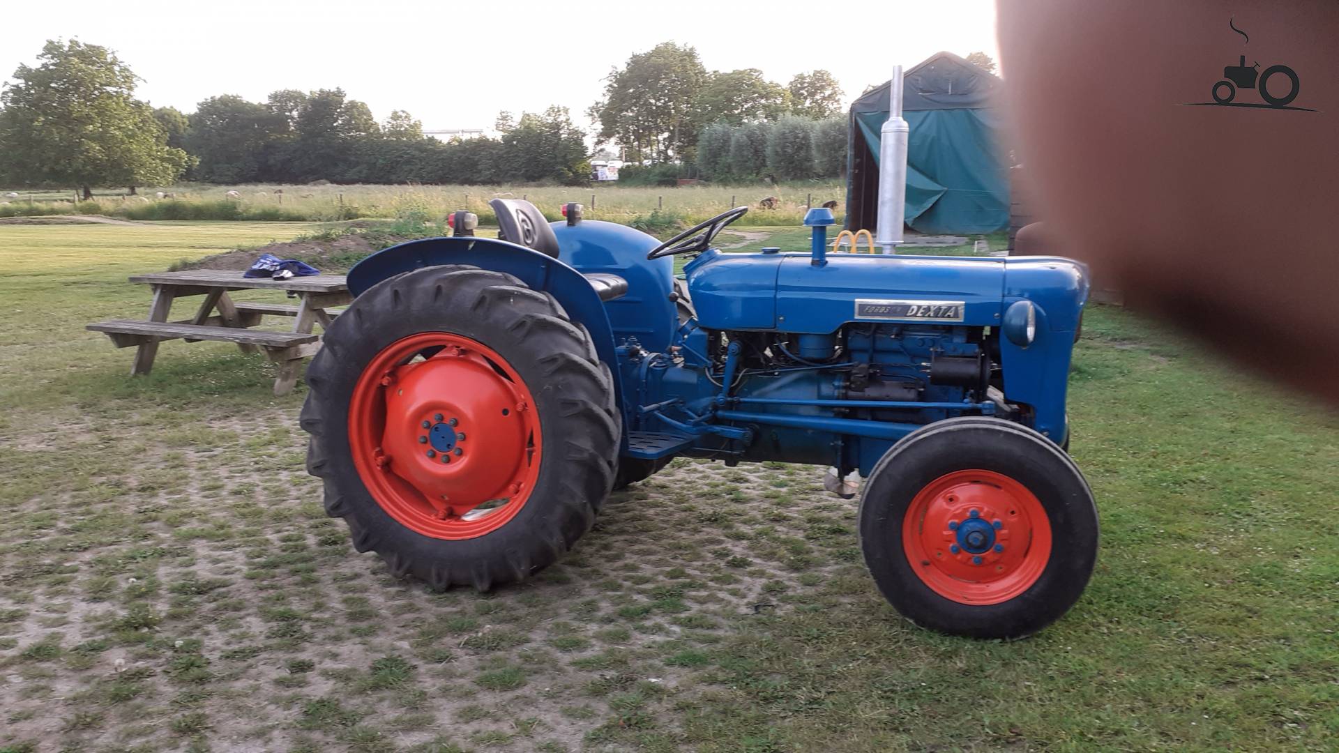 Fordson Dexta