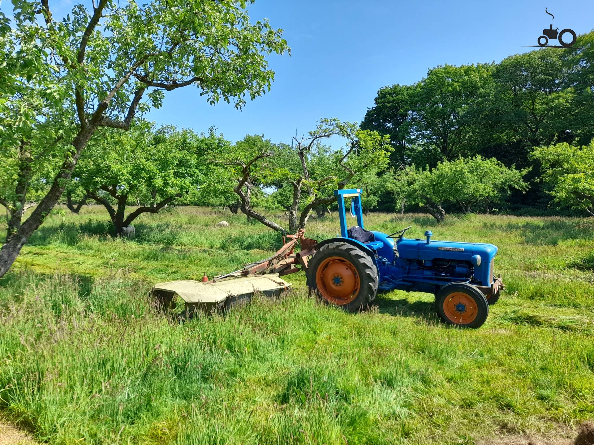 Fordson Dexta