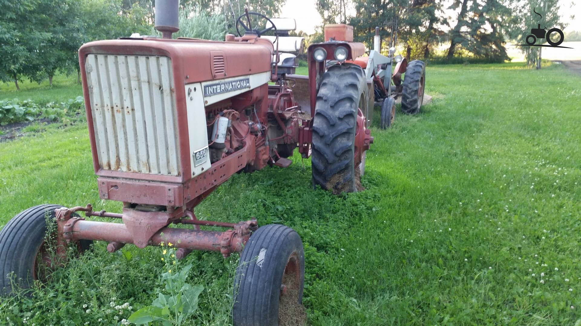 International 656