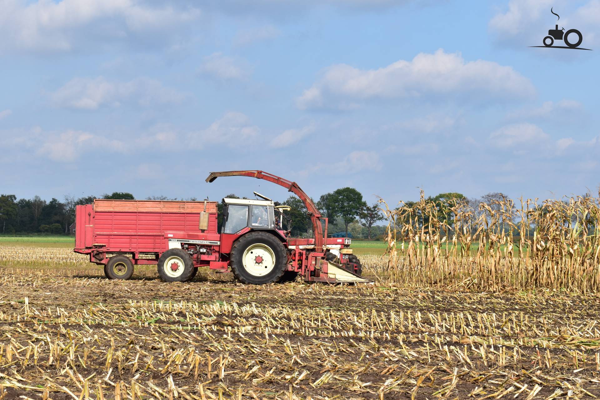 Foto International 1246 #1493032