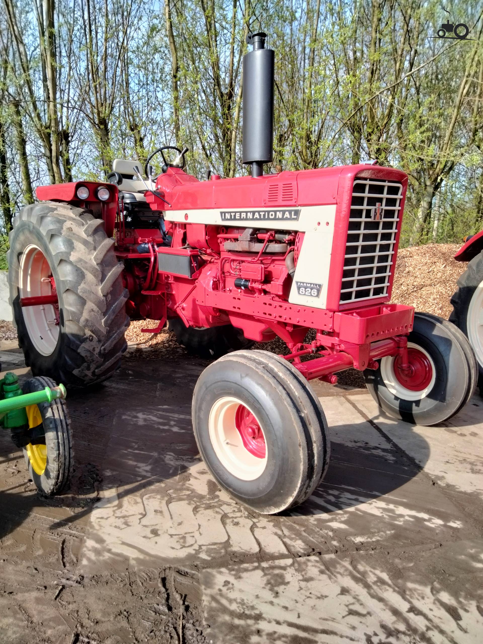 International 826 - Nachrichten, Fotos & Videos - Seite 1