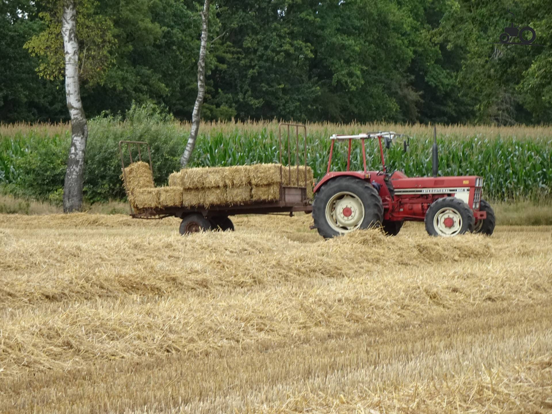 International 844 S