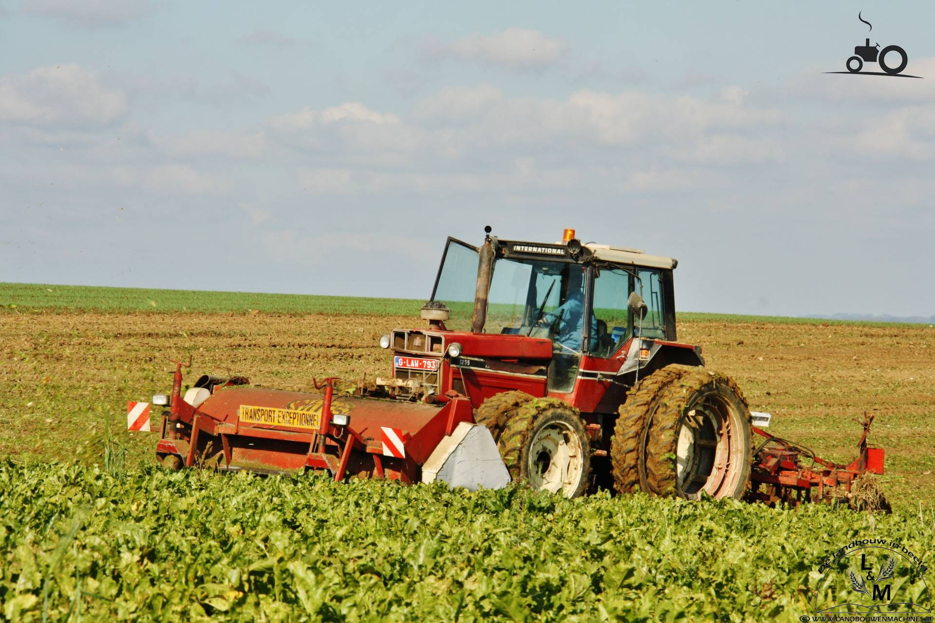 Foto International 1255 947261